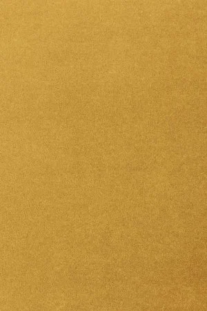 Ковровое покрытие AW Oinone 54 - (4м) в Омске