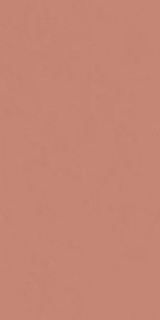 Керамогранит Italon Серфейс Скарлетт (Патинированная, 60x120) в Омске