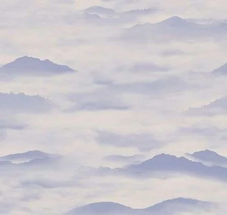 Обои Loymina Clair CLR4, 006 в Омске