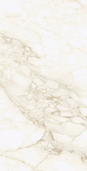 Керамогранит Coliseum Микеланджело Ворм 60х120 (Натуральный и Реттифицированный) в Омске