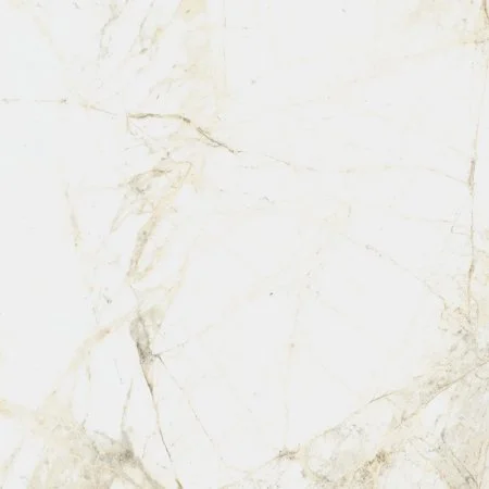 Керамогранит Coliseum Канова Уайт 60х60 (Натуральный и Реттифицированный) в Омске