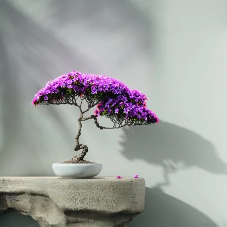 Обои Loymina Lotus LOT1 112 в Омске