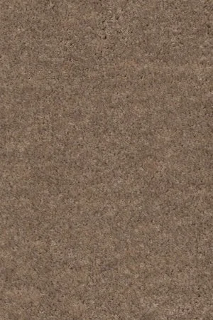 Ковровое покрытие AW Euphoria 36 - (4м) в Омске