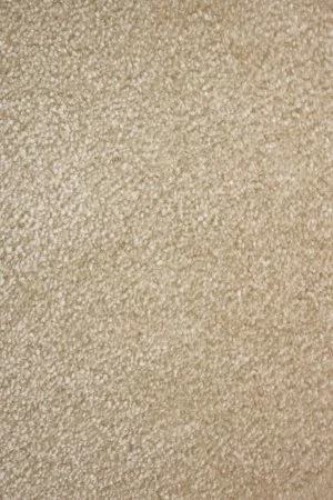 Ковровое покрытие AW Euphoria 33 - (5м) в Омске