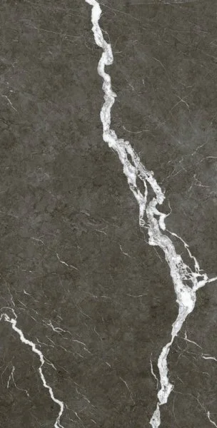 Керамогранит Coliseum Микеланджело Дарк 60х120 (Натуральный и Реттифицированный) в Омске