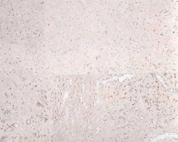 Настенное пробковое покрытие CorkArt PW 386 WS в Омске