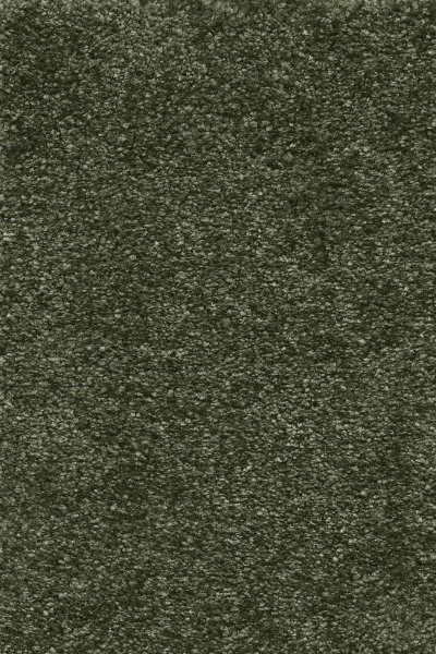 Ковровое покрытие AW Certosa 24 - (4м) в Омске