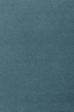 Ковровое покрытие AW Oinone 74 - (4м) в Омске