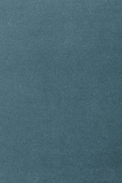 Ковровое покрытие AW Oinone 74 - (5м) в Омске