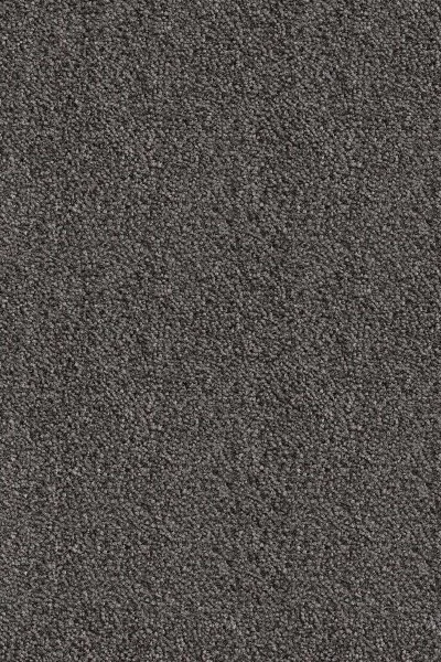 Ковровое покрытие AW Messalina 99 - (5м) в Омске