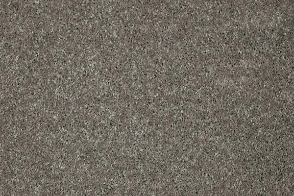 Ковровое покрытие AW Gala 94 - (5м) в Омске