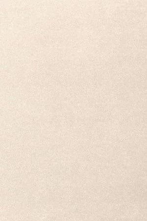 Ковровое покрытие AW Oinone 03 - (5м) в Омске