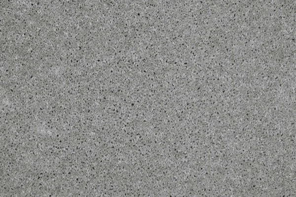 Ковровое покрытие AW Gala 90 - (4м) в Омске