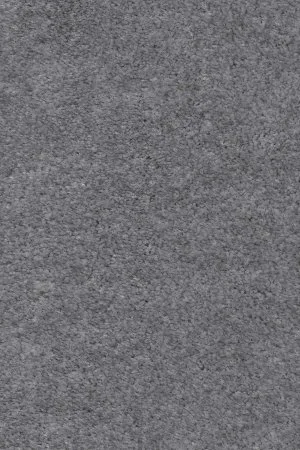 Ковровое покрытие AW Euphoria 95 - (5м) в Омске