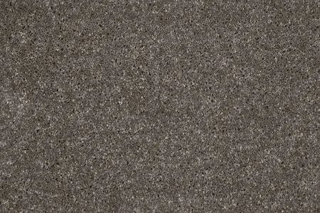 Ковровое покрытие AW Gala 49 - (5м) в Омске