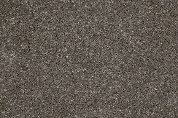 Ковровое покрытие AW Gala 49 - (4м) в Омске