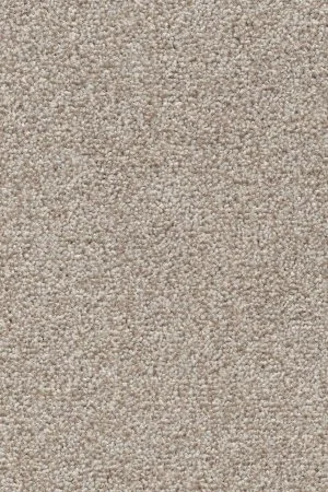 Ковровое покрытие AW Stainguard Harvest 04 - (4м) в Омске