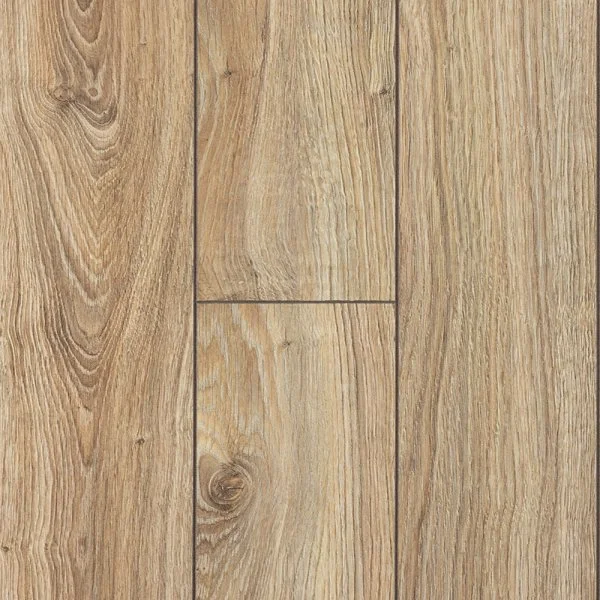 FP503 Дуб Борнео