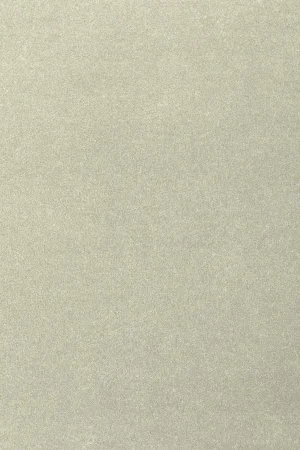 Ковровое покрытие AW Oinone 02 - (4м) в Омске