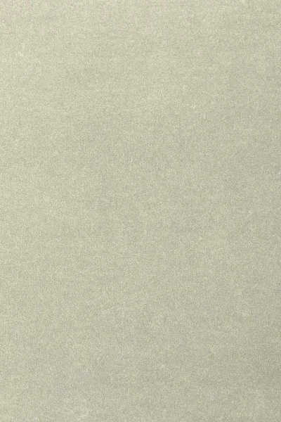 Ковровое покрытие AW Oinone 02 - (4м) в Омске