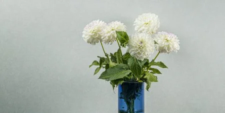 Обои Loymina Shade vol.2 SDR5, 001 в Омске