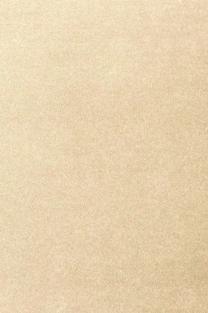 Ковровое покрытие AW Oinone 33 - (5м) в Омске