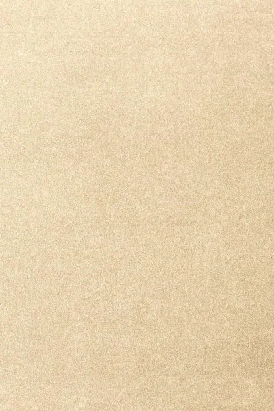 Ковровое покрытие AW Oinone 33 - (4м) в Омске