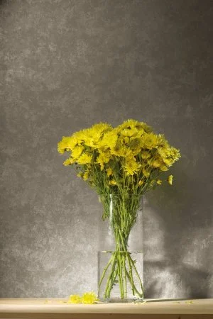 Обои Loymina Golden Library TDG 7, 008 в Омске