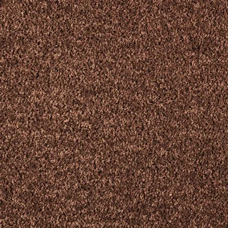 Ковровое покрытие AW Kiama 48 - (5м) в Омске