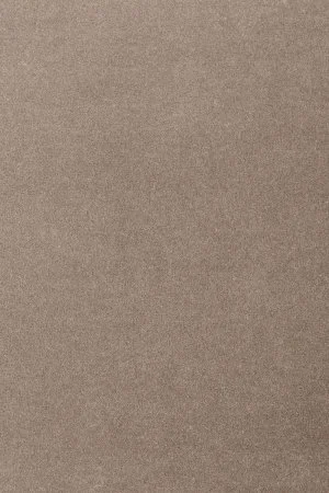 Ковровое покрытие AW Oinone 49 - (5м) в Омске