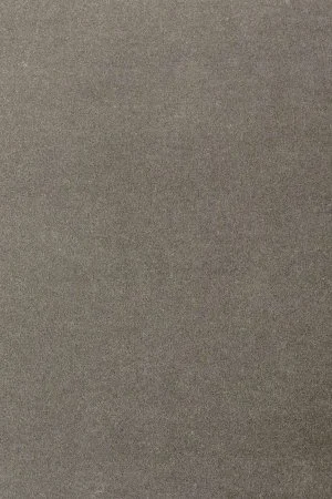 Ковровое покрытие AW Oinone 95 - (5м) в Омске