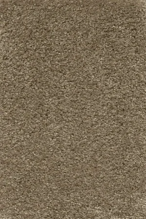 Ковровое покрытие AW Certosa 35 - (5м) в Омске