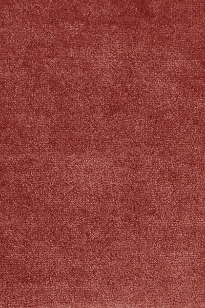 Ковровое покрытие AW Omphale 10 - (5м) в Омске