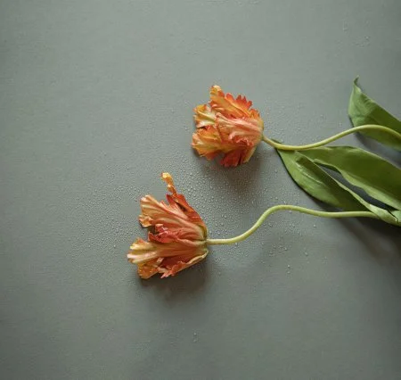 Обои Loymina Russian Classic Ru10, 006 в Омске