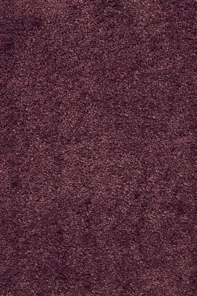 Ковровое покрытие AW Fedone 19 - (5м) в Омске