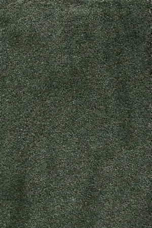 Ковровое покрытие AW Fedone 24 - (5м) в Омске