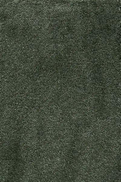 Ковровое покрытие AW Fedone 24 - (5м) в Омске