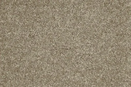 Ковровое покрытие AW Gala 33 - (5м) в Омске