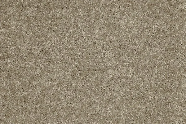 Ковровое покрытие AW Gala 33 - (4м) в Омске