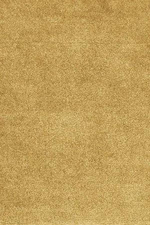 Ковровое покрытие AW Omphale 54 - (5м) в Омске