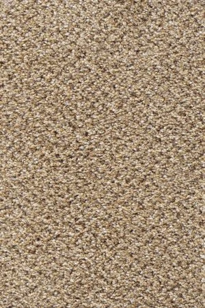 Ковровое покрытие AW Stainaway Tweed 50 - (4м) в Омске