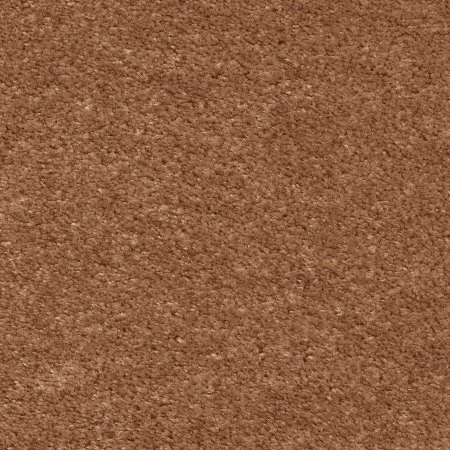 Ковровое покрытие AW Euphoria 84 - (5м) в Омске