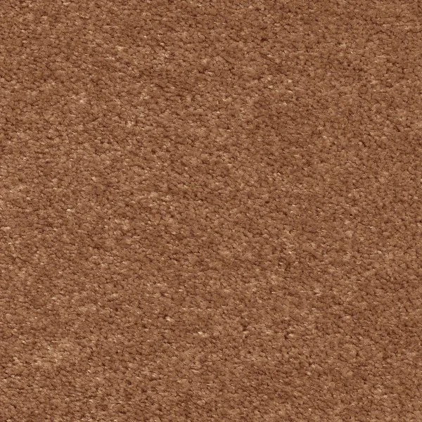 Ковровое покрытие AW Euphoria 84 - (5м) в Омске