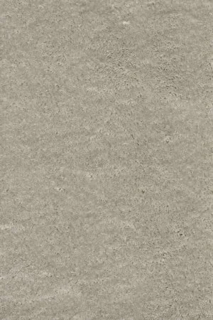 Ковровое покрытие AW Fedone 90 - (5м) в Омске