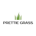 Искусственная трава Prettie Grass купить в Омске по выгодной цене Искусственная трава Prettie Grass в Омске