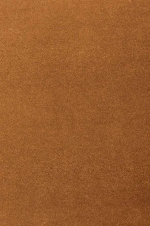 Ковровое покрытие AW Oinone 84 - (4м) в Омске