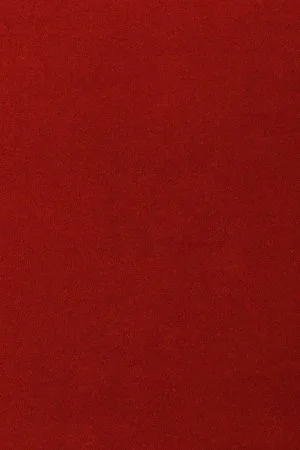 Ковровое покрытие AW Oinone 10 - (5м) в Омске