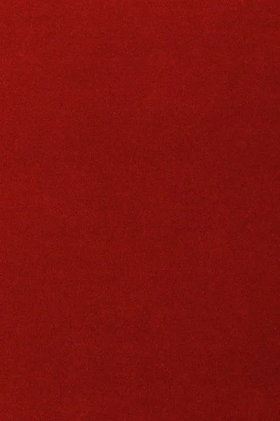 Ковровое покрытие AW Oinone 10 - (5м) в Омске