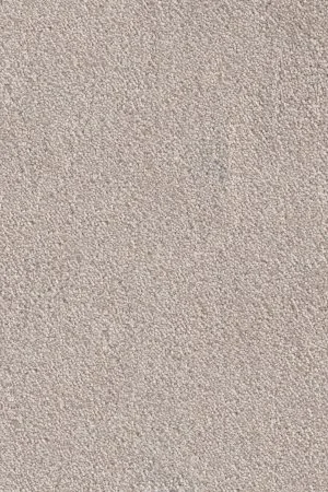 Ковровое покрытие AW Messalina 37 - (4м) в Омске