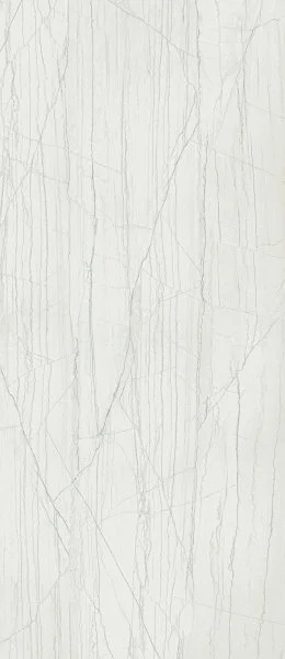 Керамогранит Italon Шарм Эдванс Платинум Уайт 120х278 (Люкс и реттифицированная) в Омске